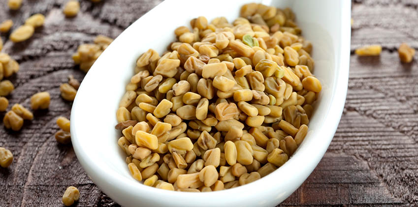 Fenugreek A Herb, Spice And Medicine